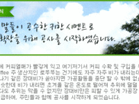 사메에서 온 첫번째소식